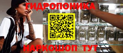 герыч Кингисепп