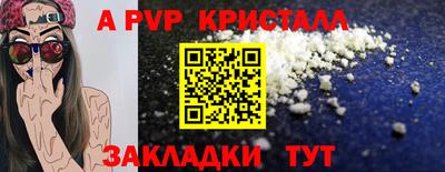герыч Кингисепп