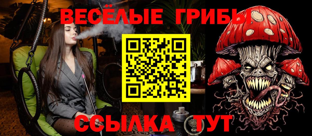 Псилоцибиновые грибы MAGIC MUSHROOMS Кулебаки