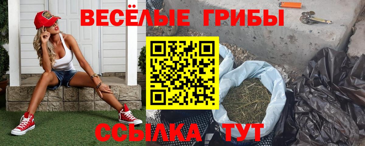 купить наркоту  Псилоцибиновые грибы GOLDEN TEACHER  Кулебаки  Вход с VPN  Галлюциногенные грибы прущие грибы 